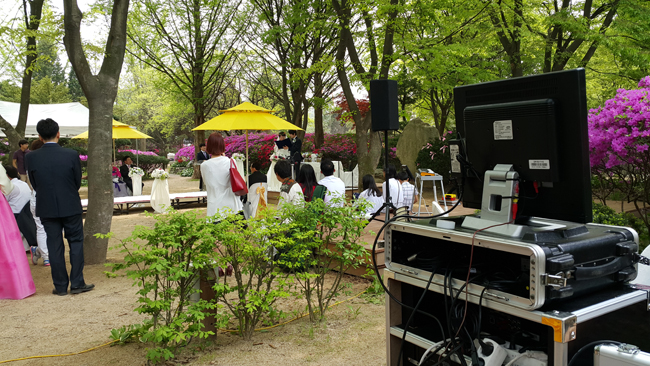 ��ǰ ������